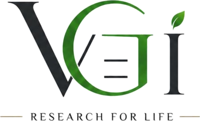VGEI GitLab